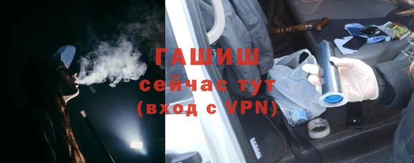 прущие грибы Горно-Алтайск