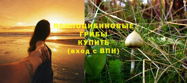 mdma Горняк