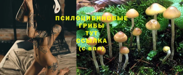 mdma Горняк
