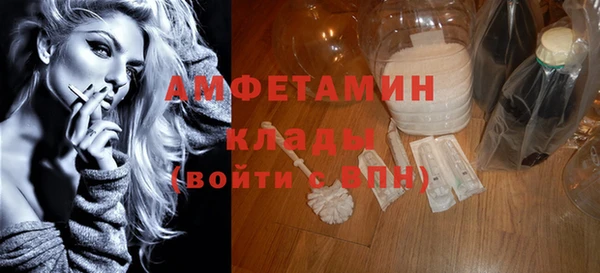 прущие грибы Горно-Алтайск