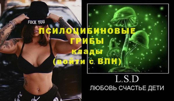 прущие грибы Горно-Алтайск