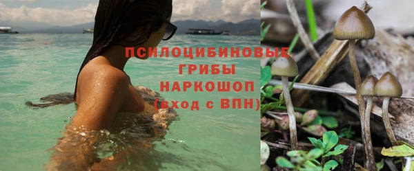 мескалин Горнозаводск