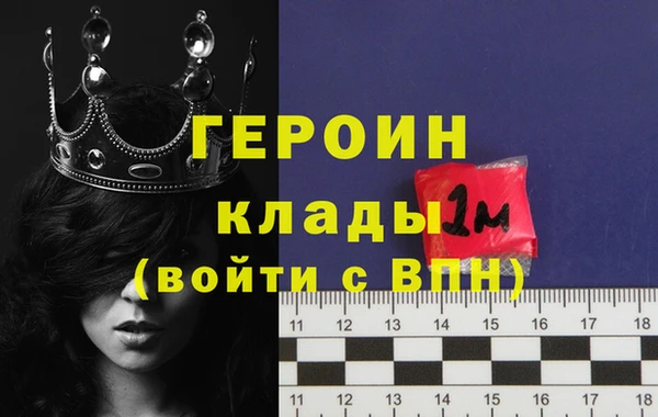 прущие грибы Горно-Алтайск